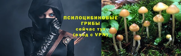 спайс Алексеевка
