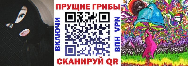Псилоцибиновые грибы Psilocybe Игра
