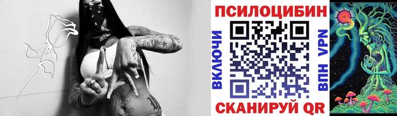 купить наркотики сайты Игра блэк спрут как войти Псилоцибиновые грибы Magic Shrooms